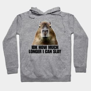 Idk How Much Longer I Can Slay Capybara Sarcastic Dank Meme Shirt Edgy Meme Quote Funny Meme Hoodie